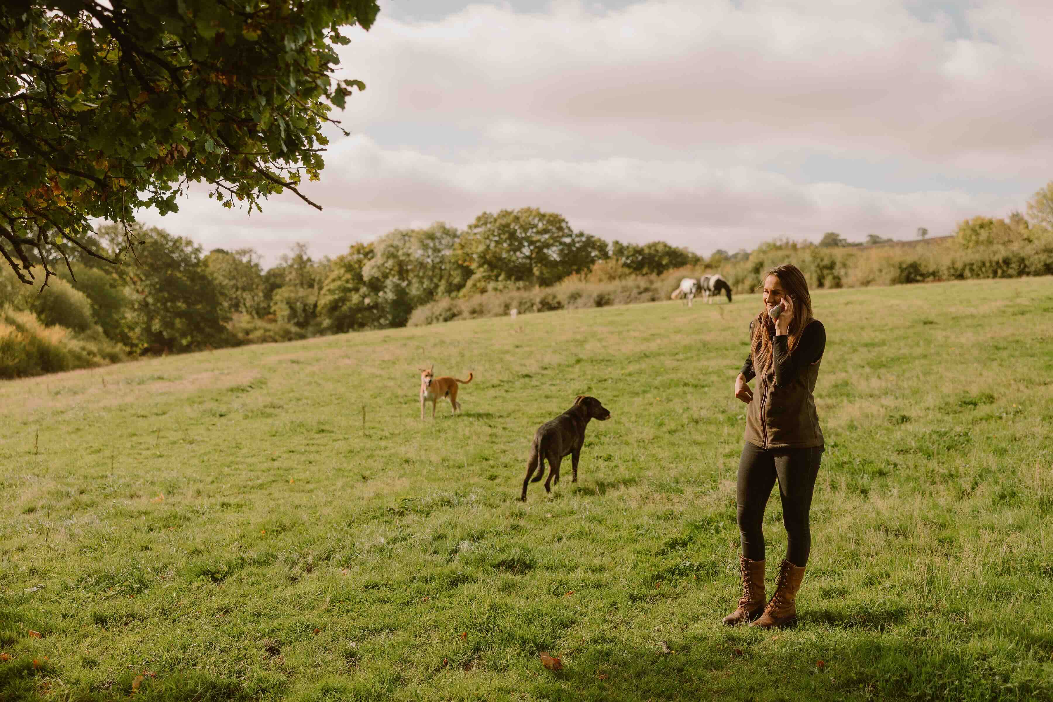Woman on phone in field with dogs